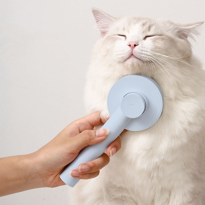 Pet Comb Hair Brush
