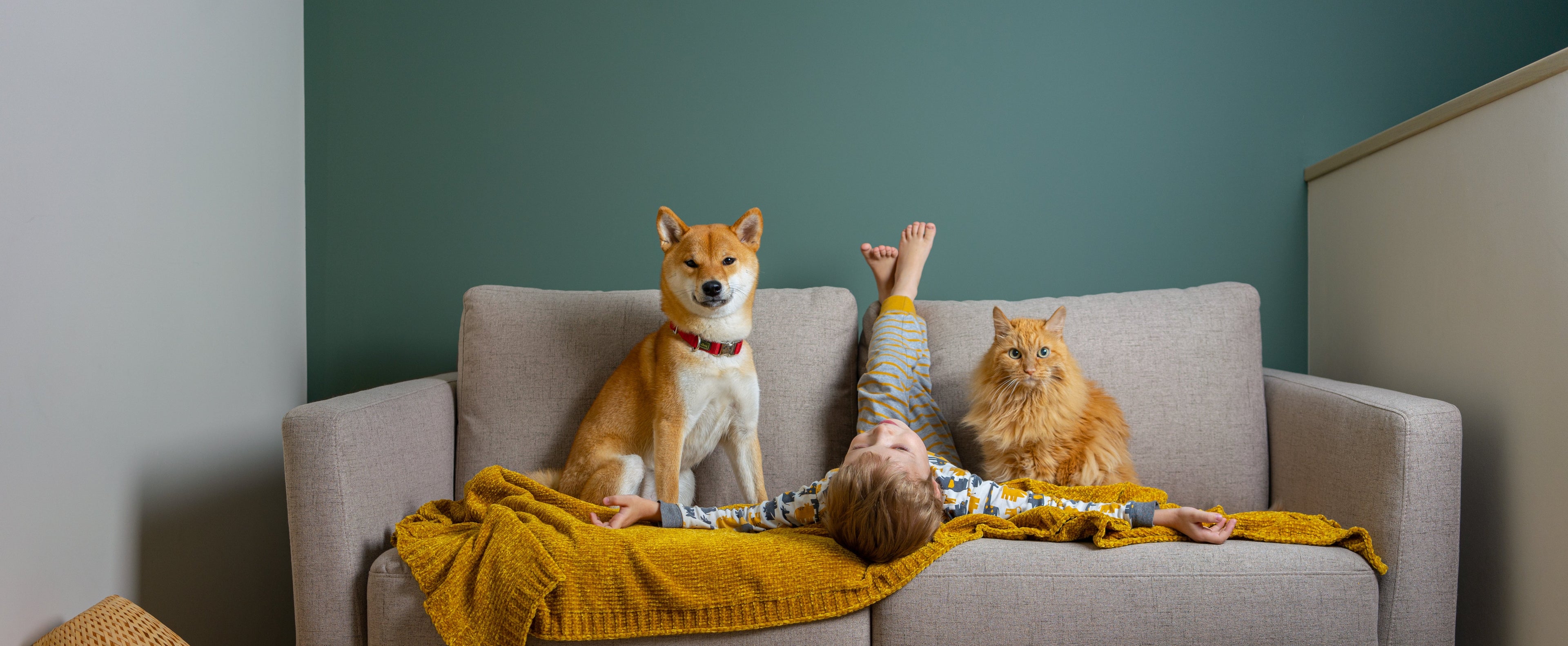 Person lying on a couch with a dog and cat under a yellow blanket in a cozy living room.