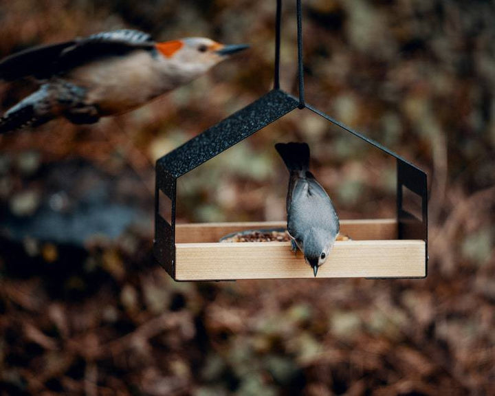 Elevate Your Garden with Our Outdoor Gardening Hanging Bird Feeder