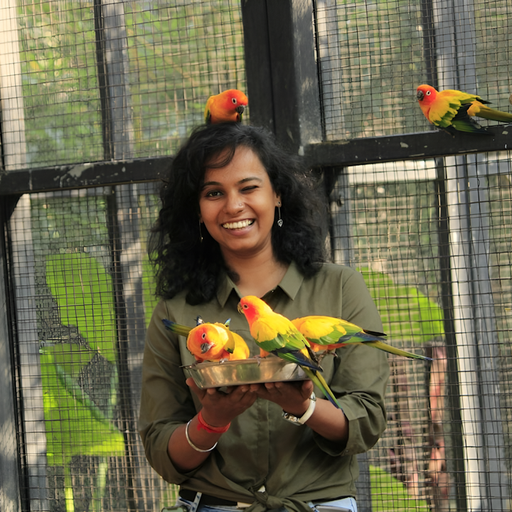 Creating a Happy Space for Your Feathered Friends