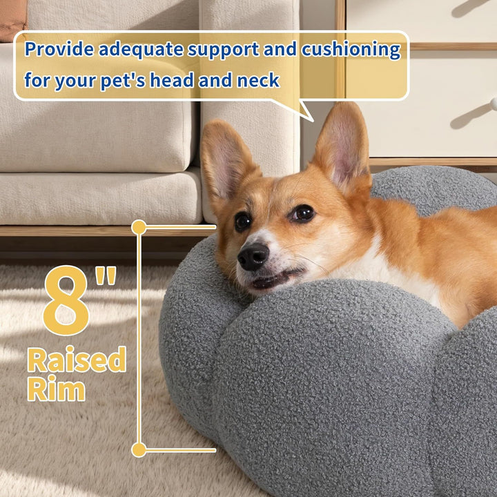 Discover the Comfort of Calming Cat Beds for Indoor Cats
