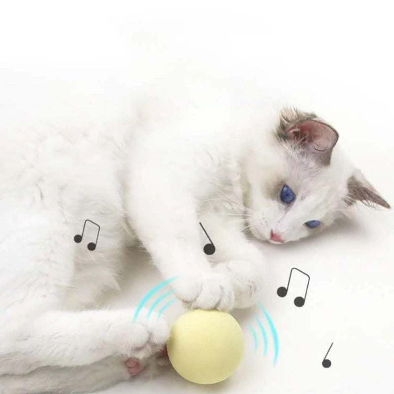 Gravity Ball Smart Touch Sounding Toys
