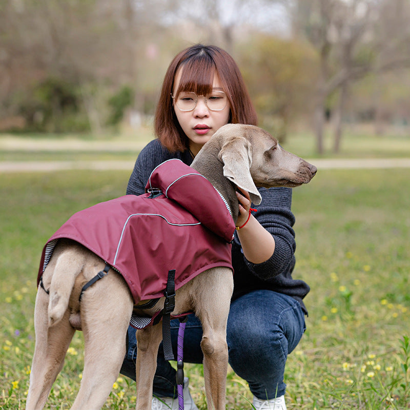 Pet Raincoat Clothes