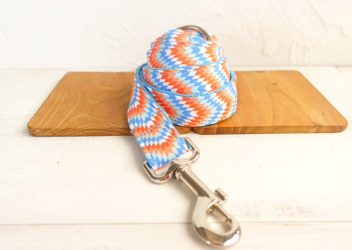 Money loop dog leash set