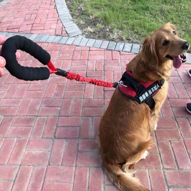 Dog Explosion-proof Elastic Retractable