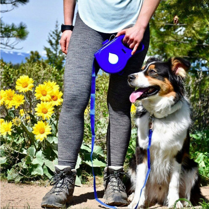 Automatic Retractable Portable Dog Leash