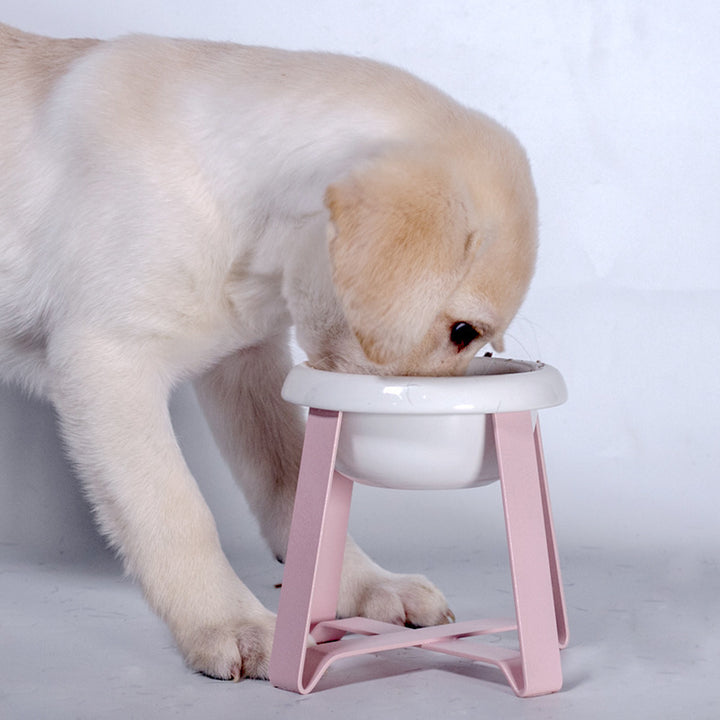 Pet Antislip Cat Feeding Bowl