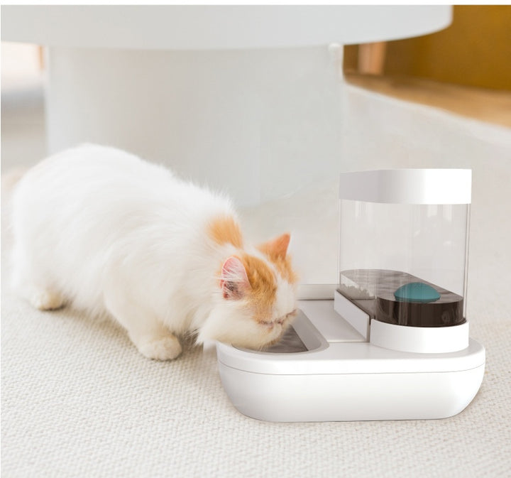 4 Style Pet Feeding Waterer