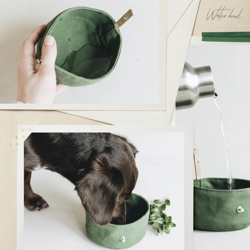 Portable Feeding Bowl Walking Dog