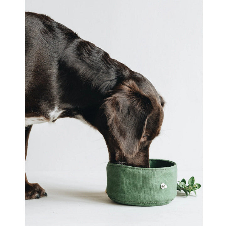Portable Feeding Bowl Walking Dog