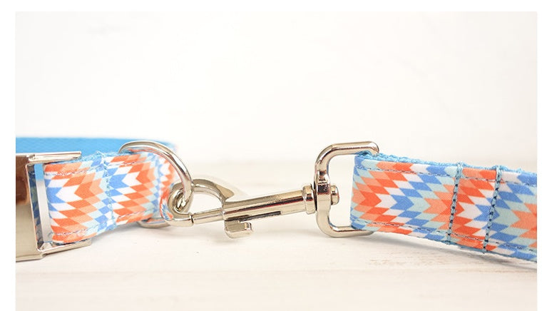Money loop dog leash set