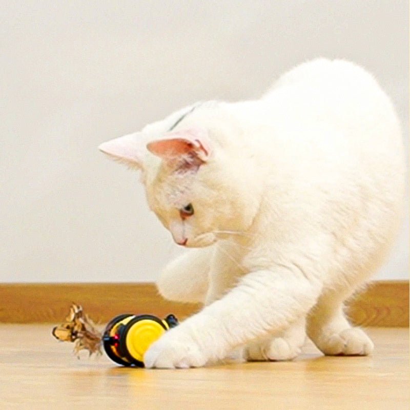 Electric Cat Car Toy