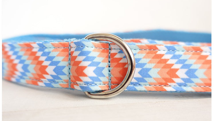Money loop dog leash set