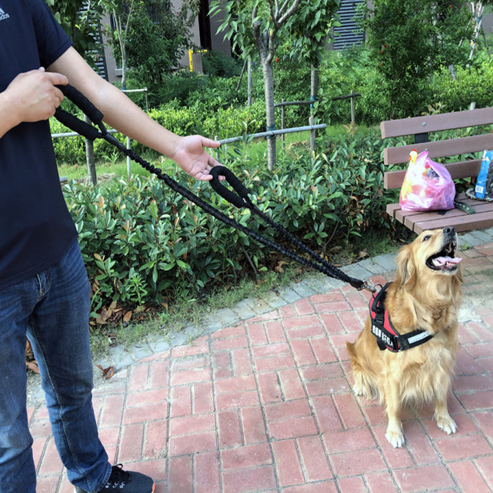 Dog Explosion-proof Elastic Retractable