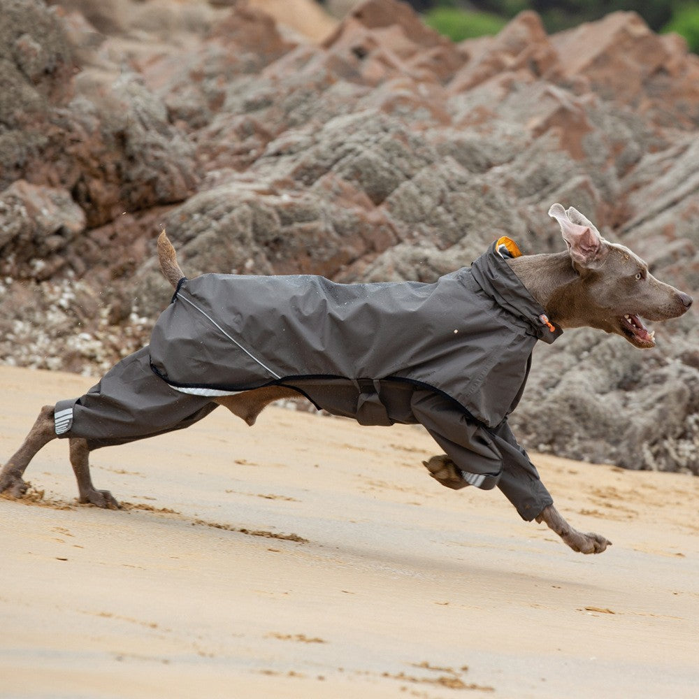 Pet Four-legged Raincoat