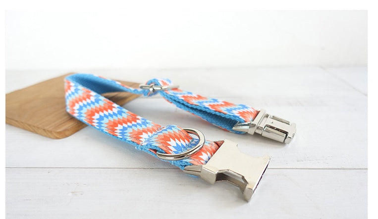 Money loop dog leash set