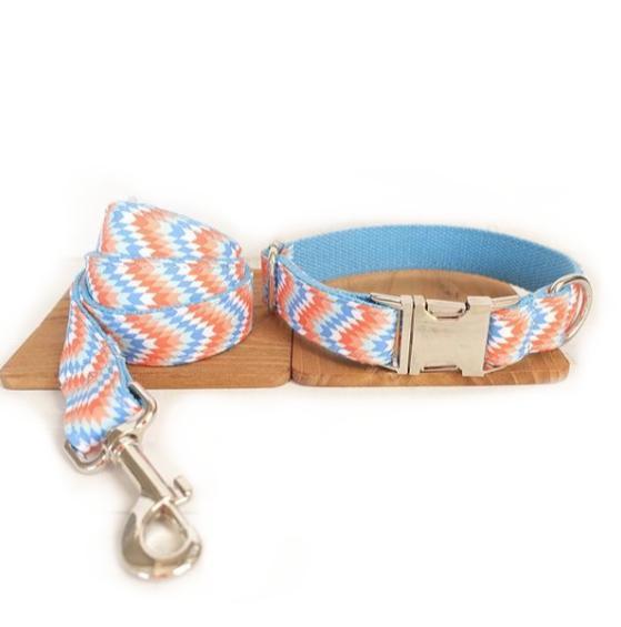 Money loop dog leash set