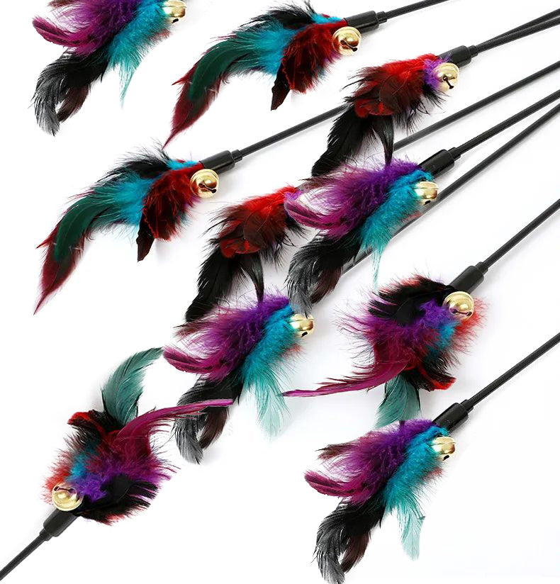 Rainbow Color Feather Toys