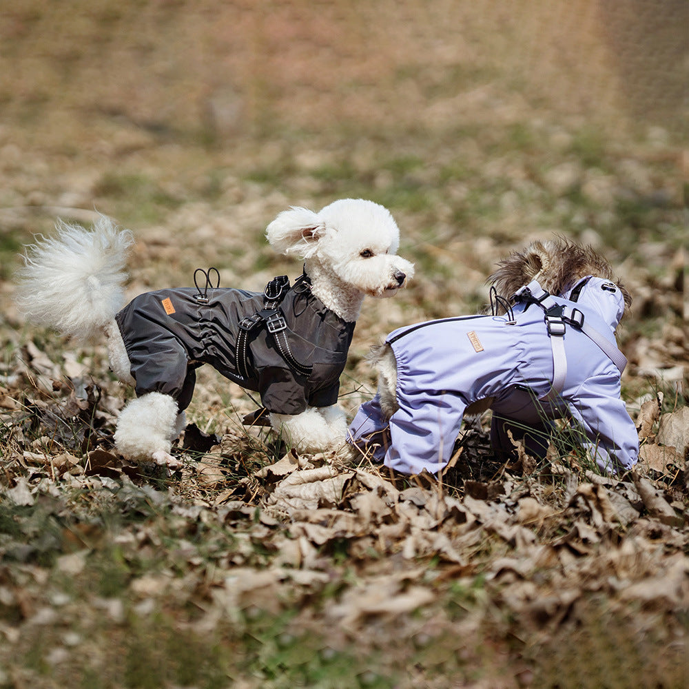 Fashion Personality Pet One-piece Raincoat