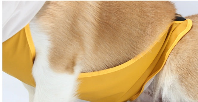Dog Raincoat Transparent Pet Poncho With Bellyband