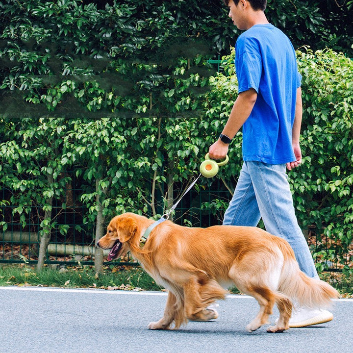 Dog Retractable Pet Leash Reflective Rope