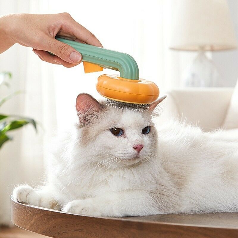 Pumpkin Comb Type For Pet Grooming