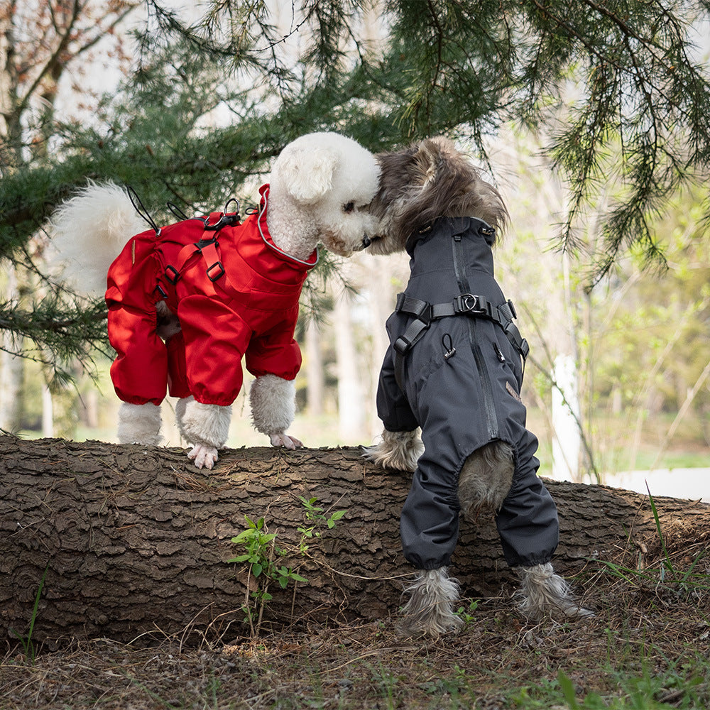 Fashion Personality Pet One-piece Raincoat