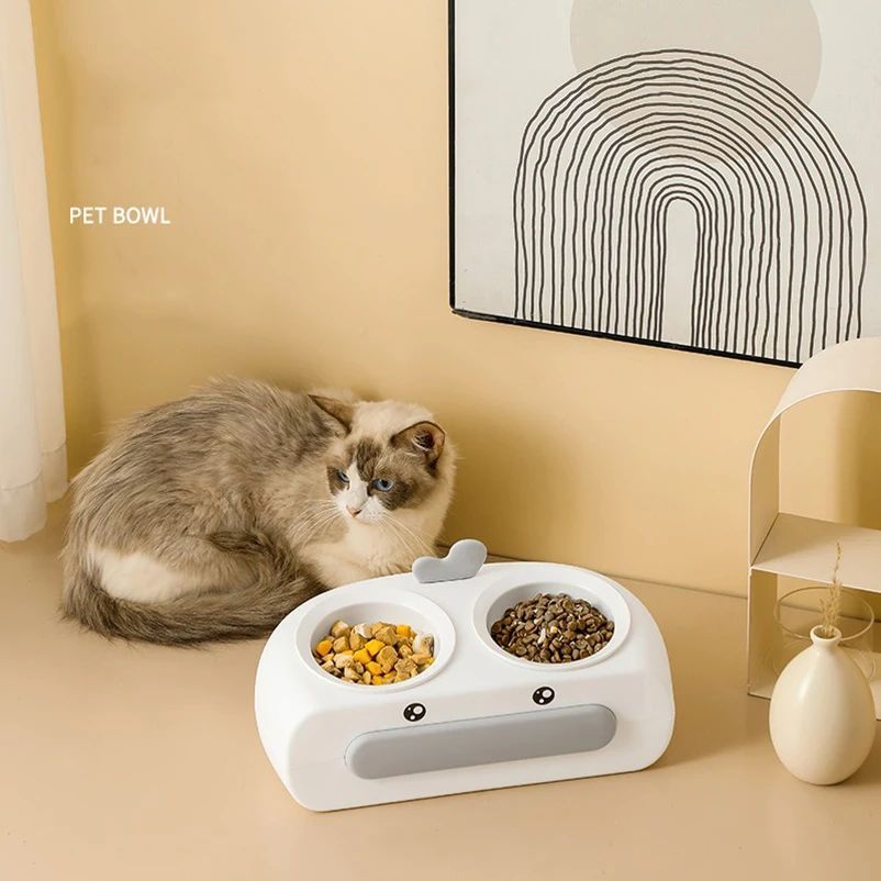 Pet Double Bowl Plastic Feeder