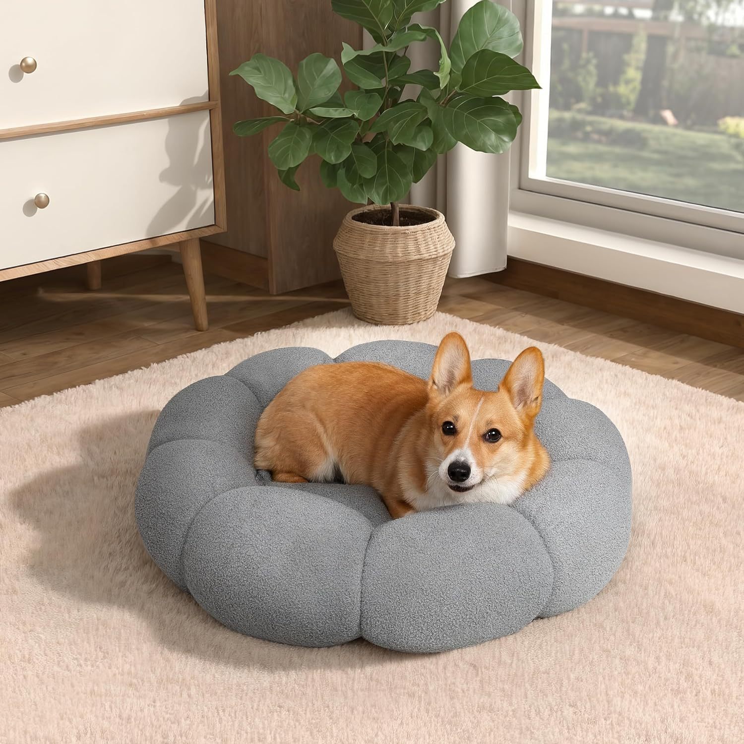 Calming Cat Beds For Indoor Cats