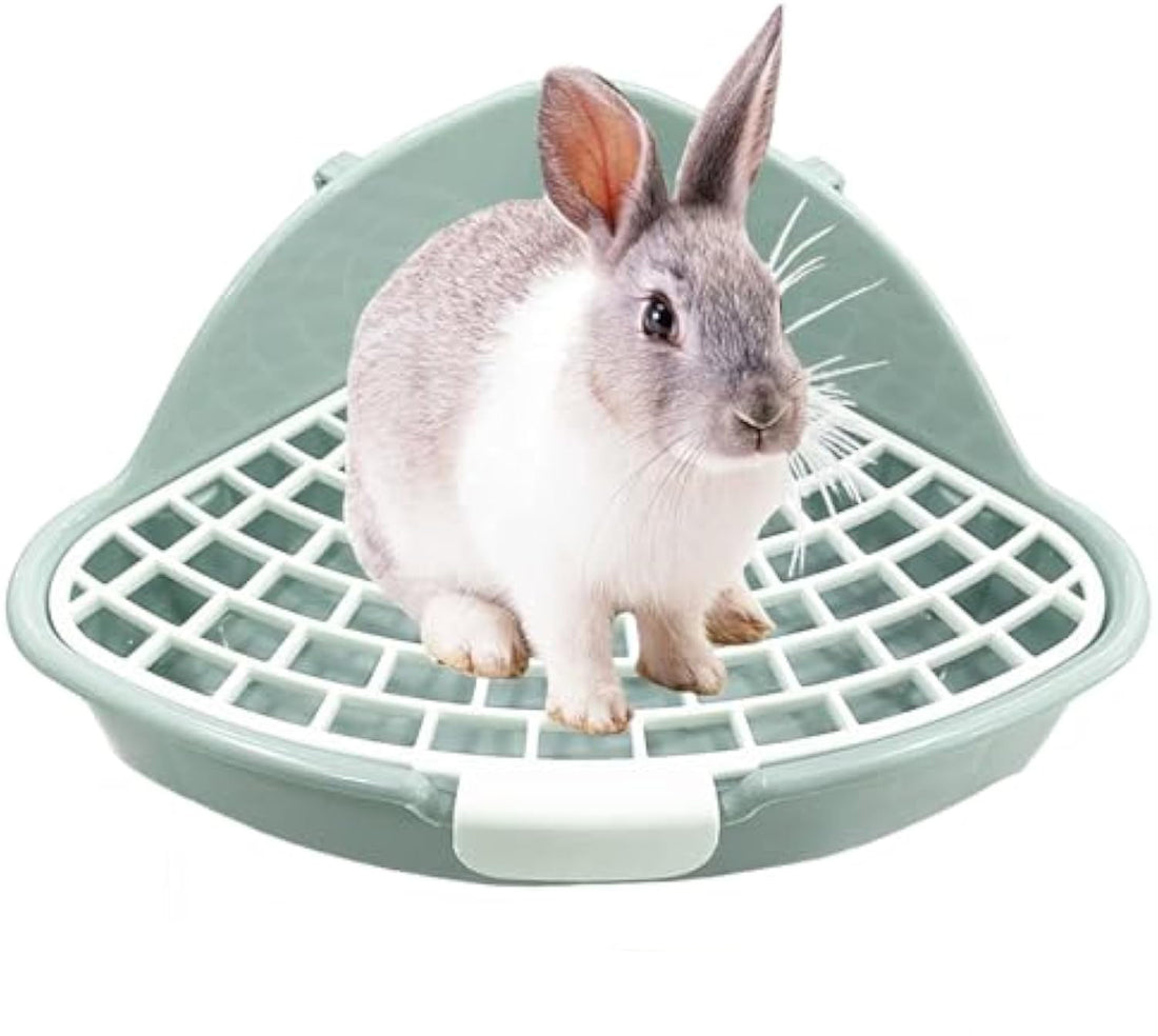 Hamster Guinea Pig Cage