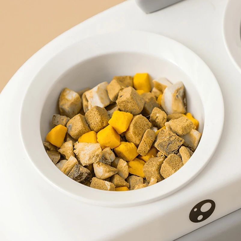 Pet Double Bowl Plastic Feeder