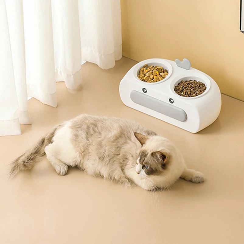 Pet Double Bowl Plastic Feeder