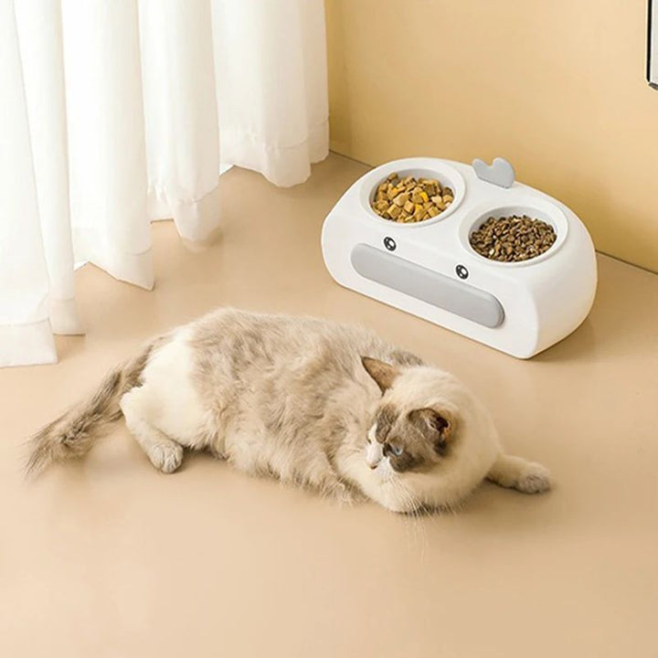 Pet Double Bowl Plastic Feeder