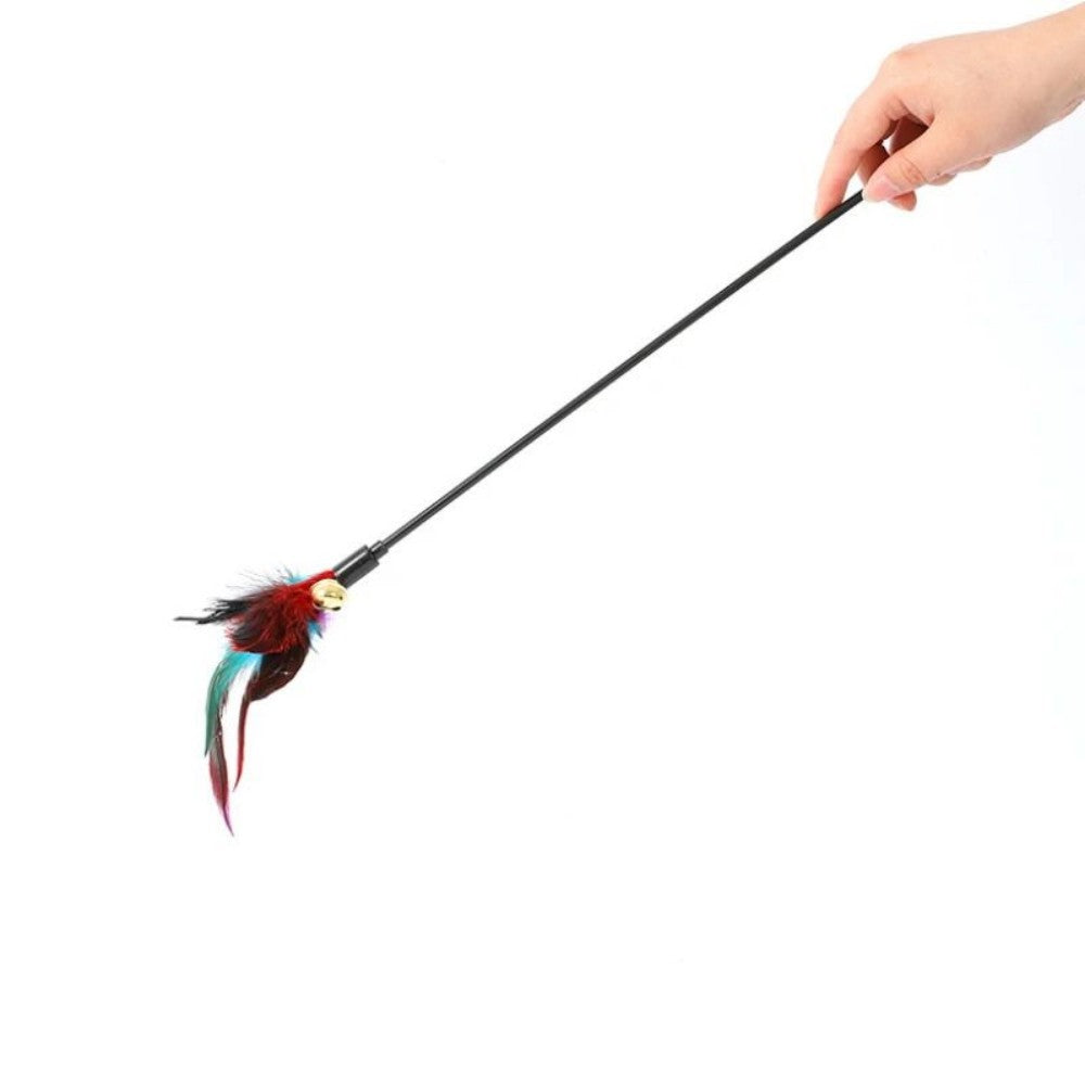 Rainbow Color Feather Toys
