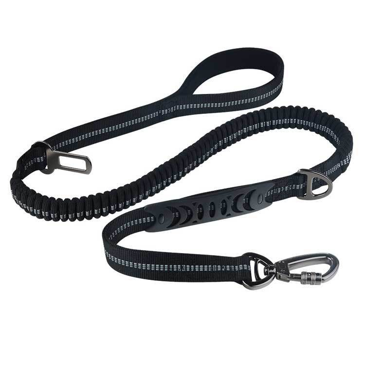 Personality Retractable Dog Leash