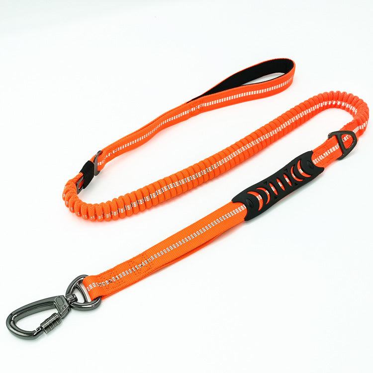 Personality Retractable Dog Leash