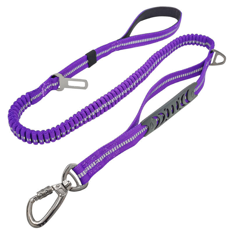 Personality Retractable Dog Leash