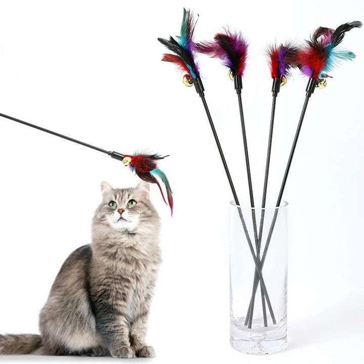 Rainbow Color Feather Toys