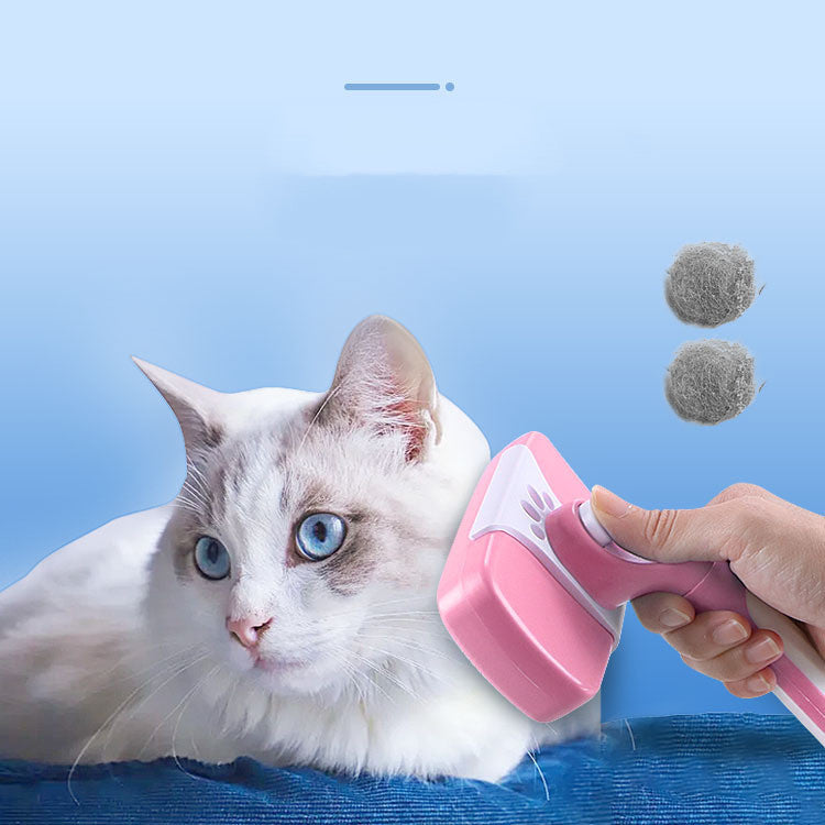 Pet Hair Removal Beauty Brush