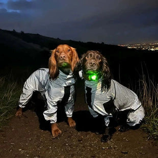 Waterproof Coat Dog Rainproof Raincoat