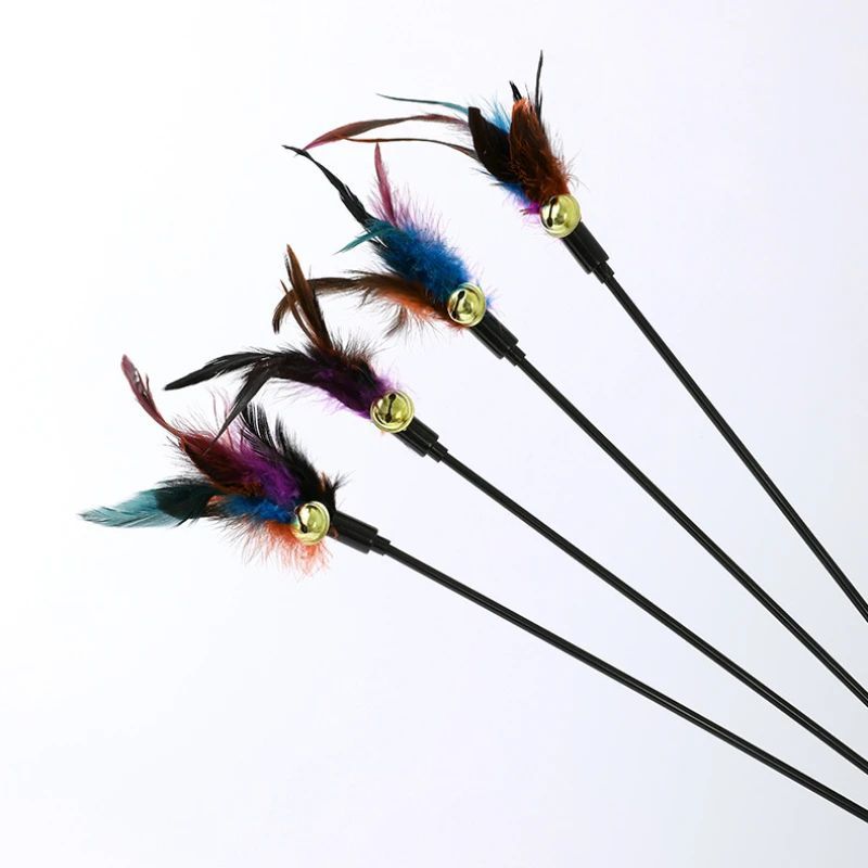 Rainbow Color Feather Toys