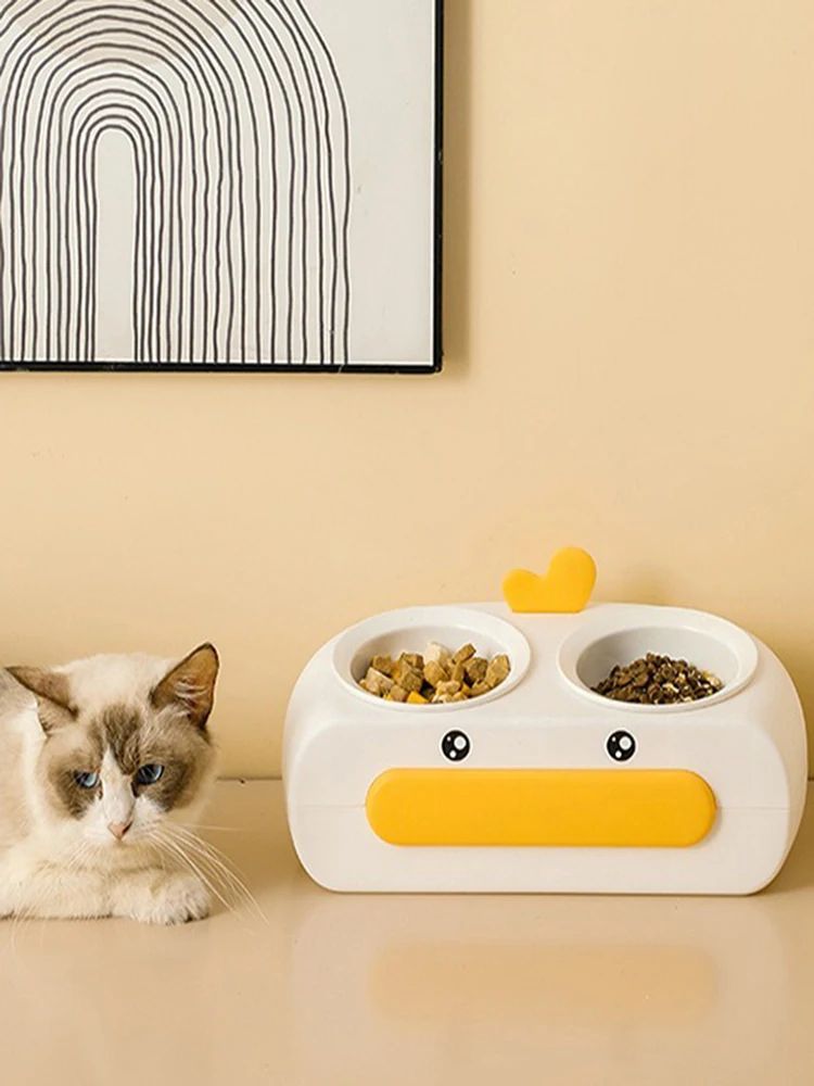 Pet Double Bowl Plastic Feeder