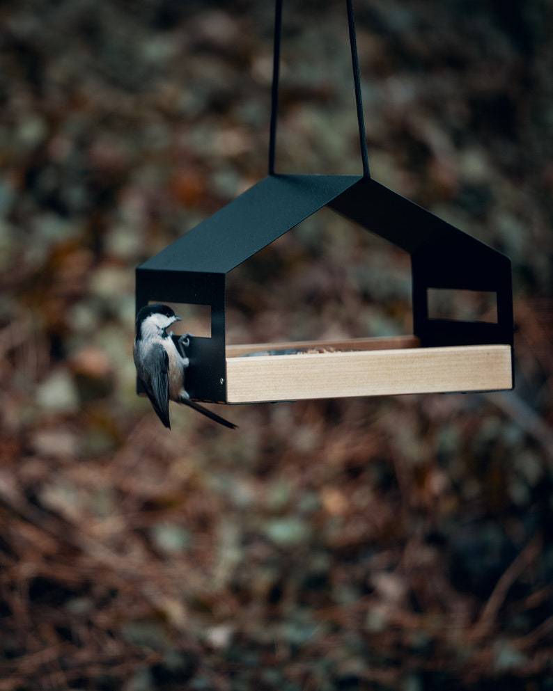 Outdoor Gardening Hanging Bird Feeder