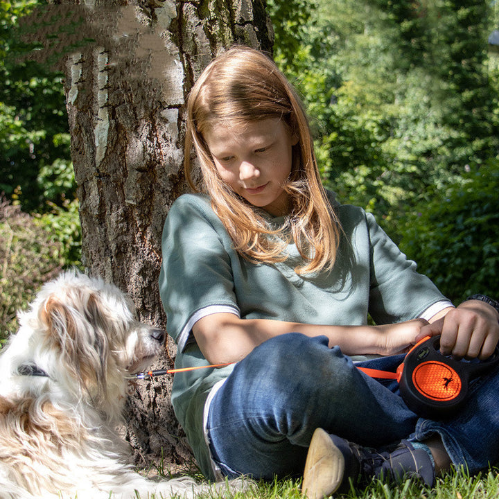 Automatic Retractable Dog Walking Pet Leash