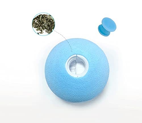 Gravity Ball Smart Touch Sounding Toys