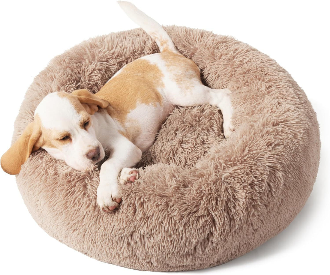Indoor Solid Fluffy Plush Pet Bed