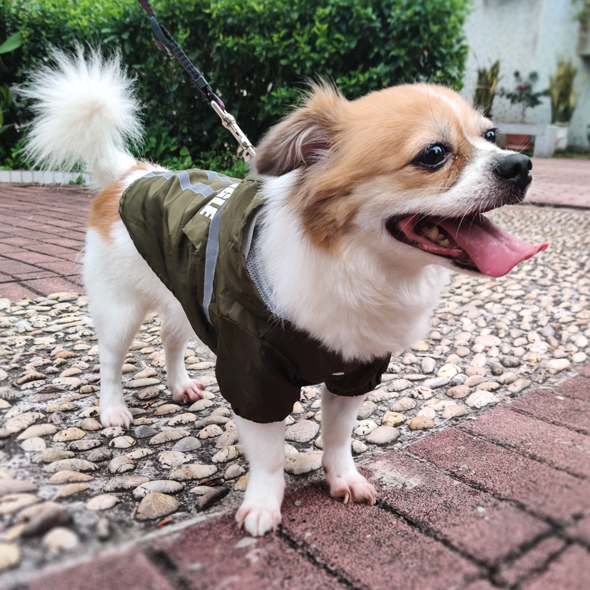 Pet Raincoat With Reflective Strips