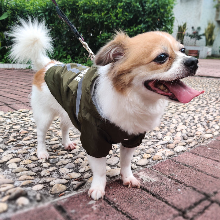 Pet Raincoat With Reflective Strips
