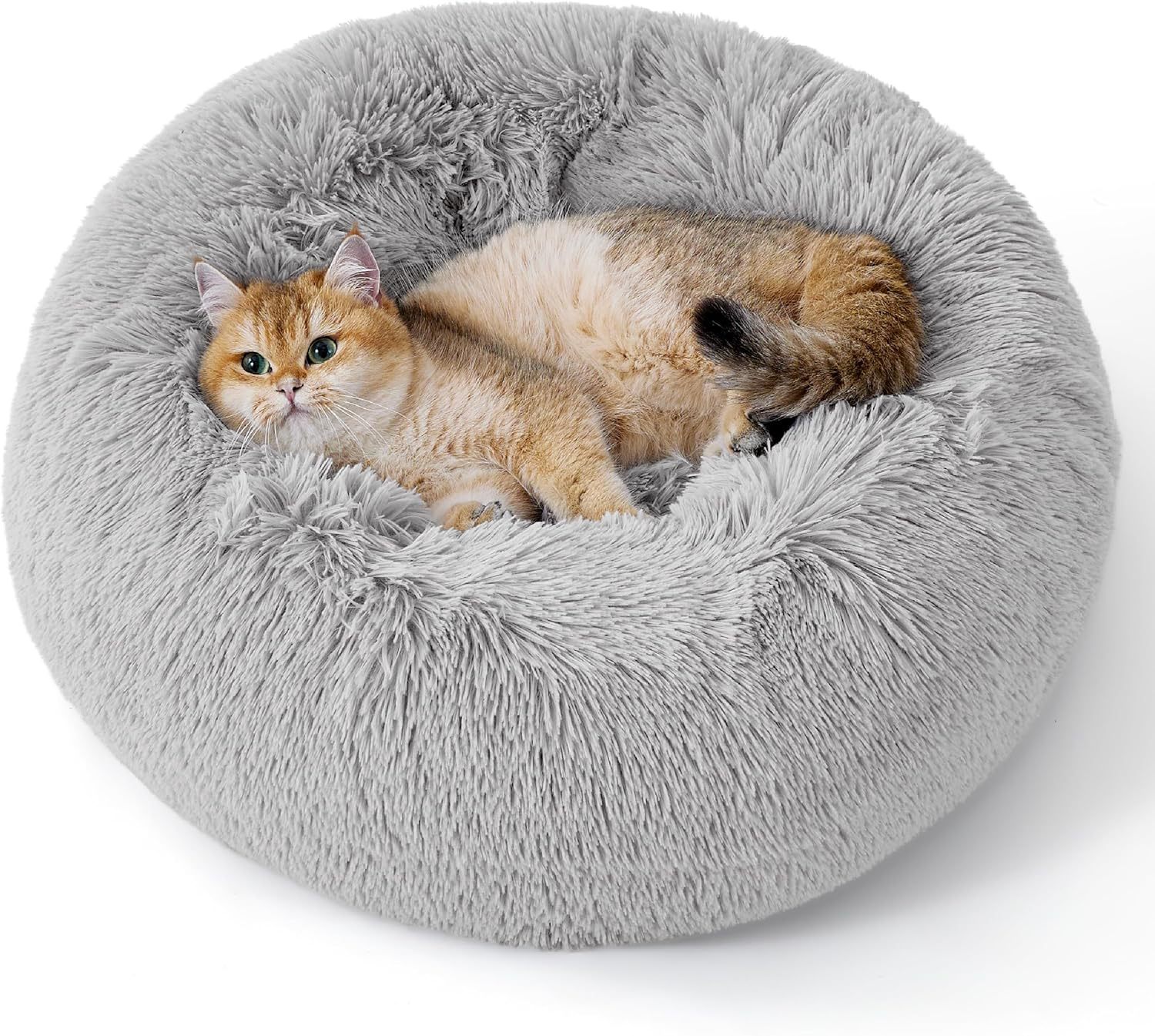 Indoor Solid Fluffy Plush Pet Bed