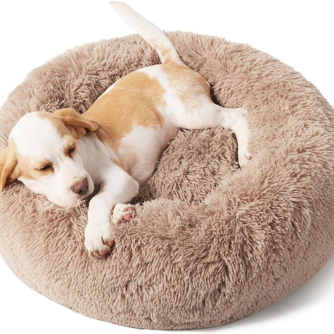 Indoor Solid Fluffy Plush Pet Bed